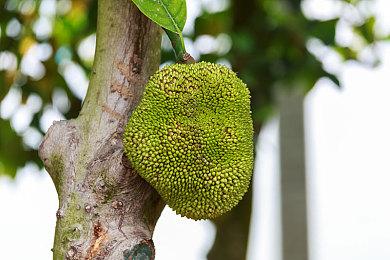 Bungie正和索尼开发多个未公布的游戏